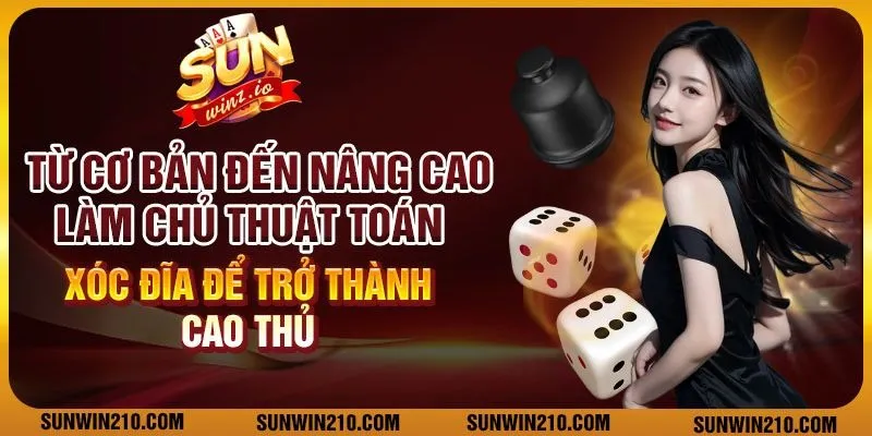 Từ cơ bản đến nâng cao: Làm chủ thuật toán xóc đĩa để trở thành cao thủ