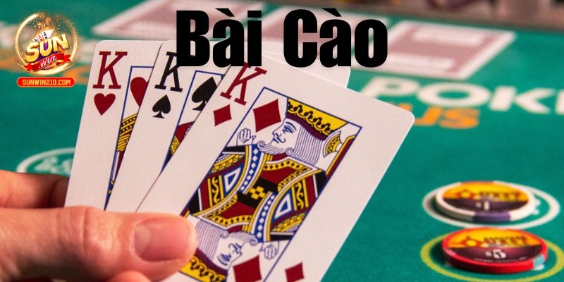 bài cào