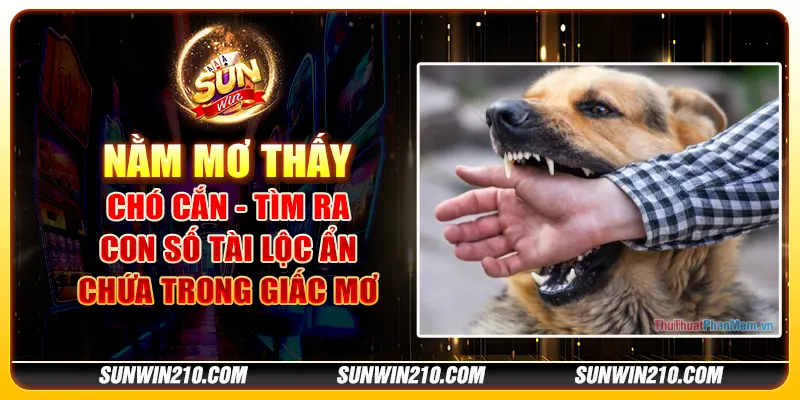 Nằm mơ thấy chó cắn - Tìm ra con số tài lộc ẩn chứa trong giấc mơ