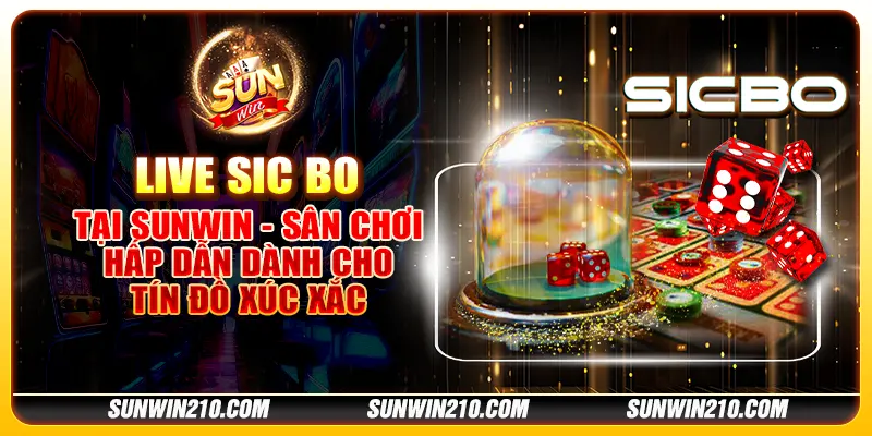 Live Sic Bo tại Sunwin - Sân chơi hấp dẫn dành cho tín đồ xúc xắc